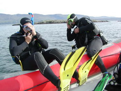 Dive Ireland 2