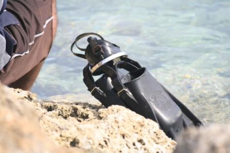 Tonga15