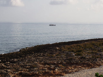 Diving close to shore