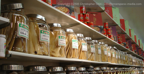 Dried shark fins for sale