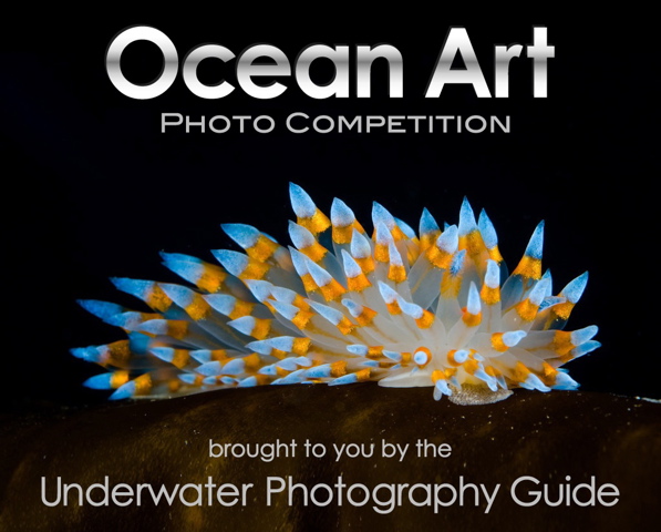 Ocean Art photo comp