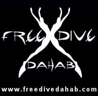 Freedive Dahab Logo