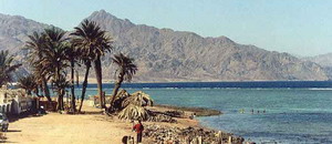 Dahab 3