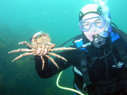 Dive Ireland 3