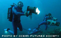 cousteau2.jpg