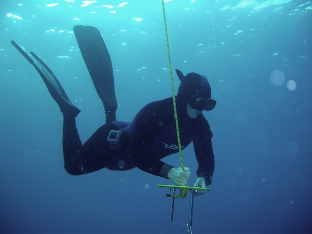 Girls Peeing Underwater