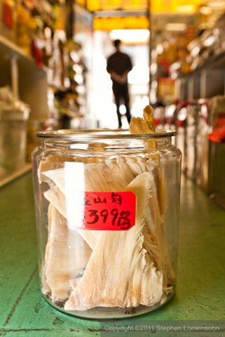 Shark fins for sale in Oakland, CA