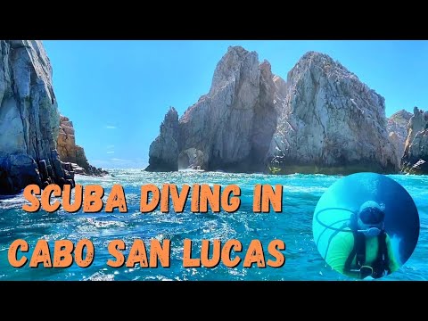 Scuba Diving Cabo San Lucas: 4 Must Dive Sites - DeeperBlue.com