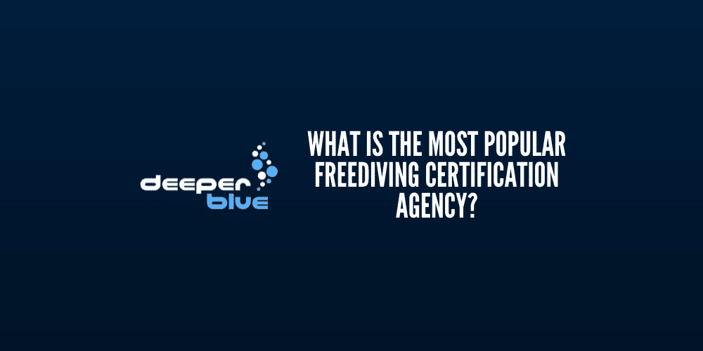 What is the most popular freediving certification agency