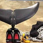 DeepBlue.com – Opti fins and gear for diving