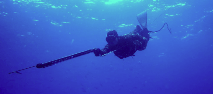 shark_shield-3