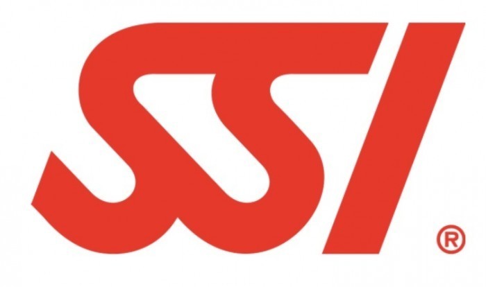 SSI