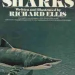 ellis