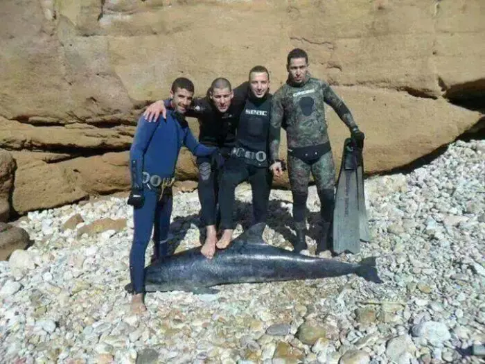 The Dolphin Killers - Facebook Full