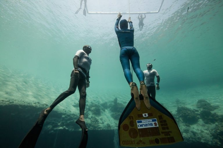 flowstate freediving flowstate freediving