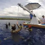 Deep Blue diving training session