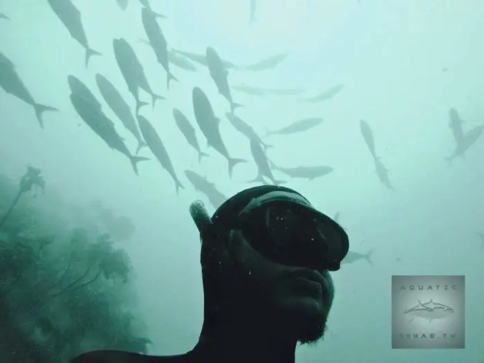 Luke Potts, Aquatic Rehab TV https://www.youtube.com/user/aquaticTVrehab