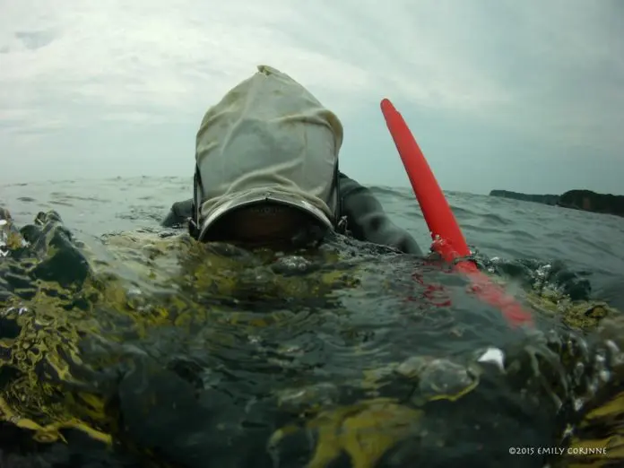 While fins and a mask are commonplace amongst the modern Ama, snorkels are not used as this makes scoping out the sea floor from your float “too easy” as they try to keep the human advantage to a minimum.