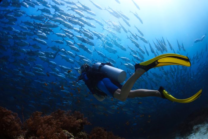 Scuba diver finning towards school of Jack fish in a tropical sea