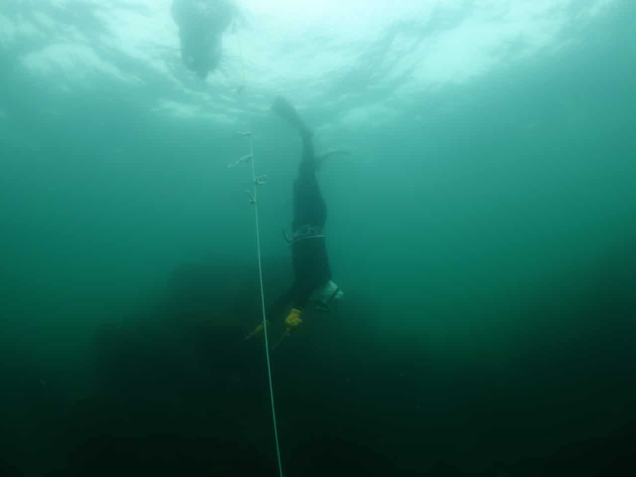 Here we have an Ama descending along her float line, a very familiar practice amongst modern freedivers.