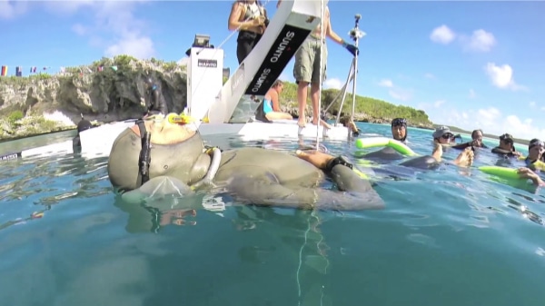 [VIDEO] The World Of ONE BREATH: Freediving, Death and the Quest to Shatter Human Limits