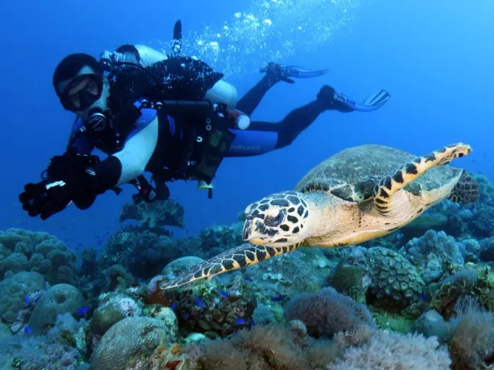 Chuuk Lagoon, Micronesia: A Wreck Divers Dream Destination. Photos courtesy the SS Thorfinn.