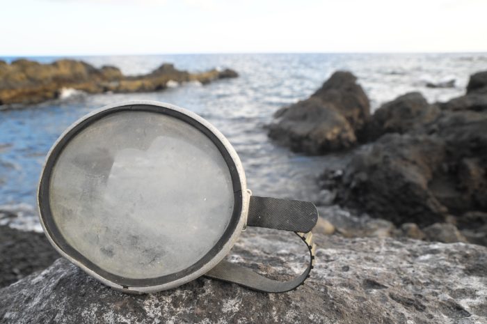 Vintage Diving Mask