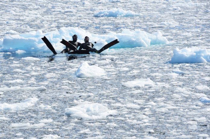 Freedive Antarctica - Will and TFB Chilling On The Rocks