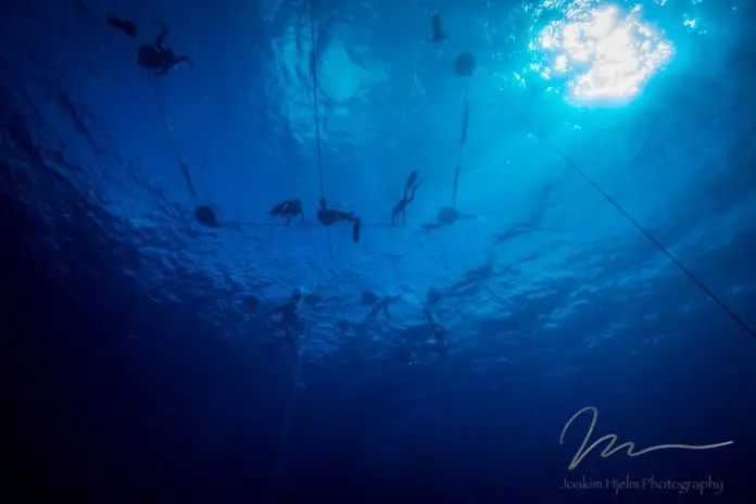 The DB7 depth competition rig from below! Photo by Joakim Hjelm