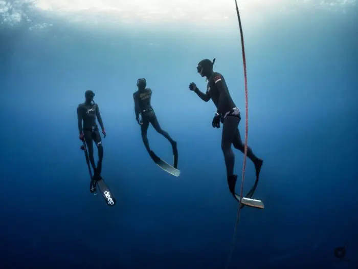 SAI (Spearfishing Academy International) is a brand new global Spearfishing Education Organization