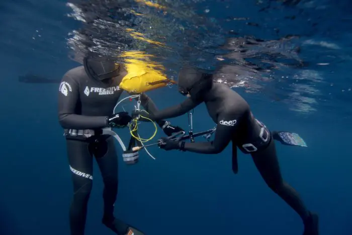 SAI (Spearfishing Academy International) is a brand new global Spearfishing Education Organization