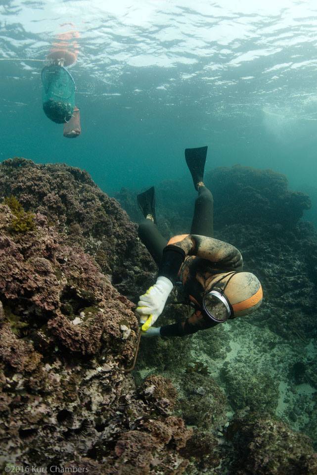 underwater world essay