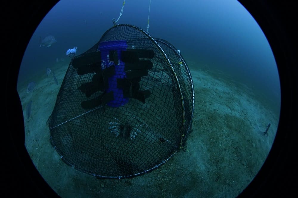 U.S. Scientists Developing New Lionfish Trap Designs (Photo Credit: Steve Gittings/NOAA)