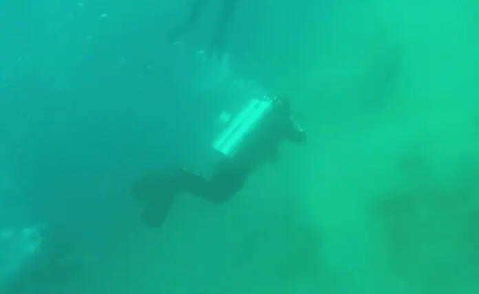 Divers Witness Underwater Earthquake (Photo credit: Newsflare)