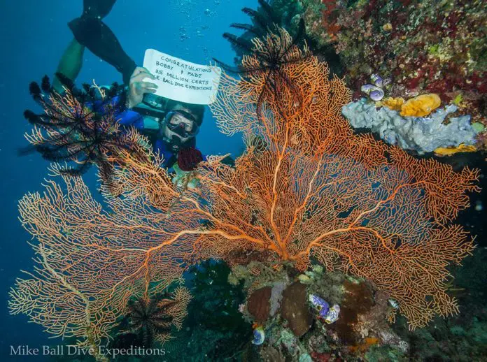 PADI Instructor Bobby Post Goes On A Dream Trip To The Great Barrier Reef