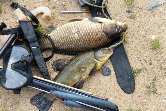 Equipment for spearfishing