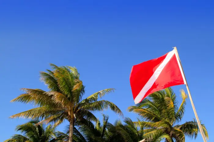 Scuba diver down flag