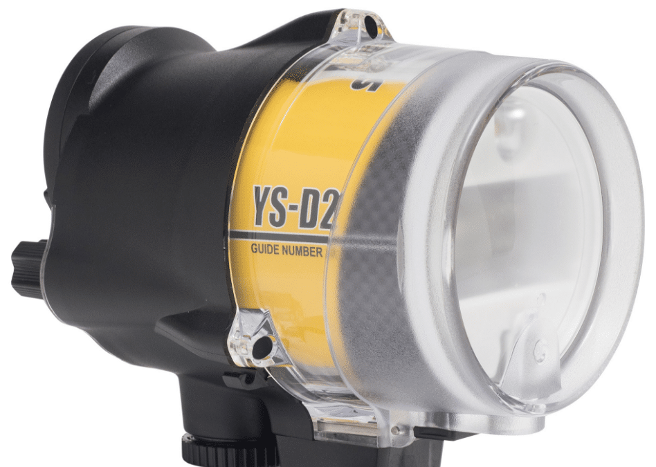 New Version Of Ys D2 Strobe From Sea Sea Now Available Deeperblue Com