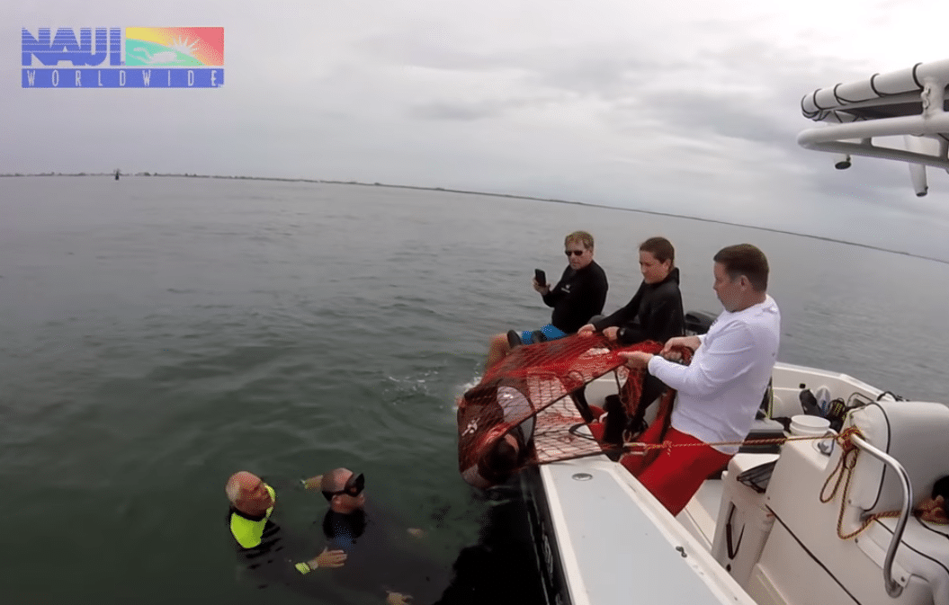 NAUI Launches Its Dive Leader Rescue Workshops