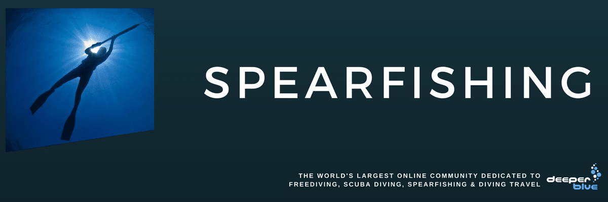 DeeperBlue.com Header Image - Spearfishing