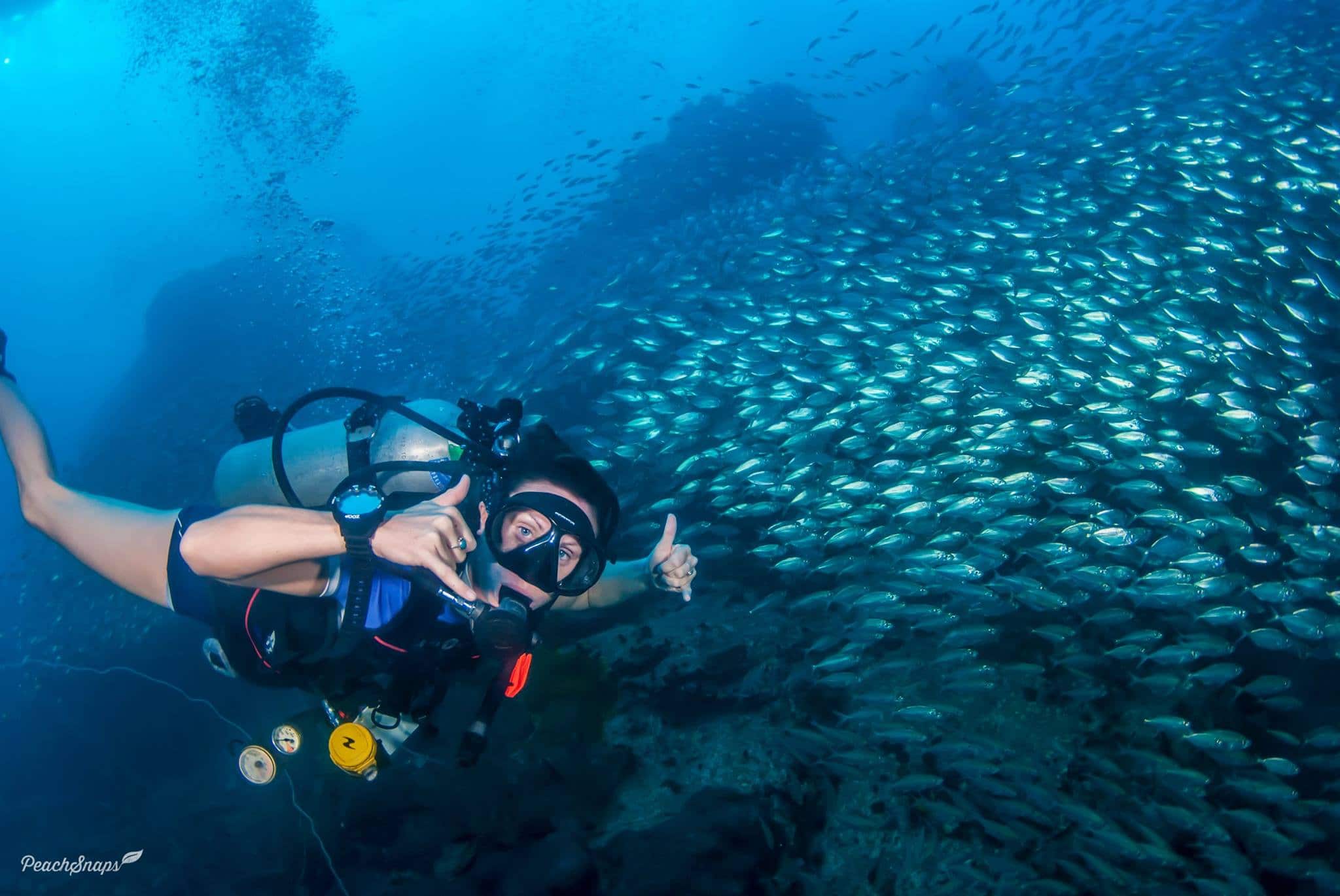 A successful diving instructor is very passionate