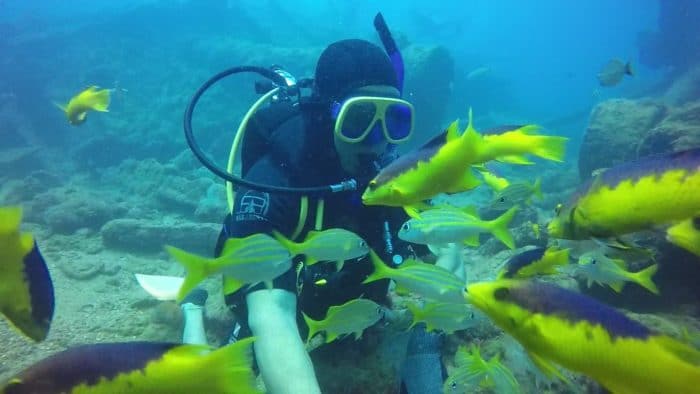 amazon river top place for diving