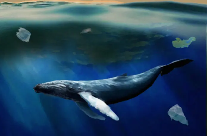Kids fight to save the oceans and whales