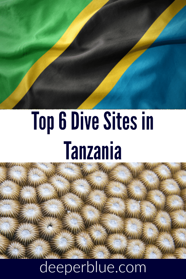 Top 6 Dive Sites In Tanzania