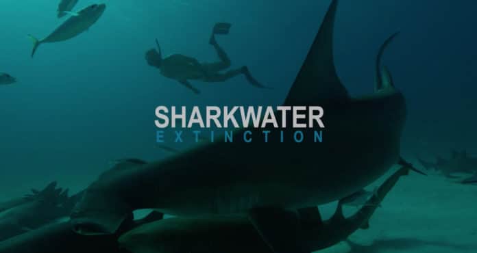 Rob Stewart’s Final Film, ‘Sharkwater Extinction,’ Scheduled For Release In October 2018