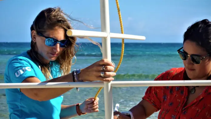 Utila's coral restoration project is up and running but needs your help.