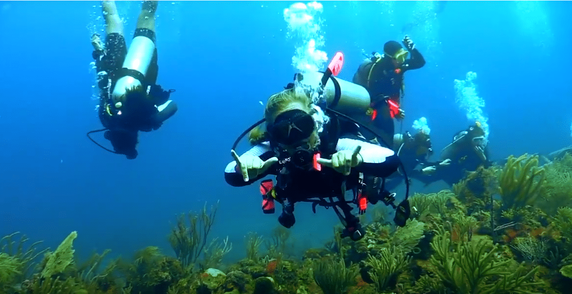 PADI Women's Dive Day 2018