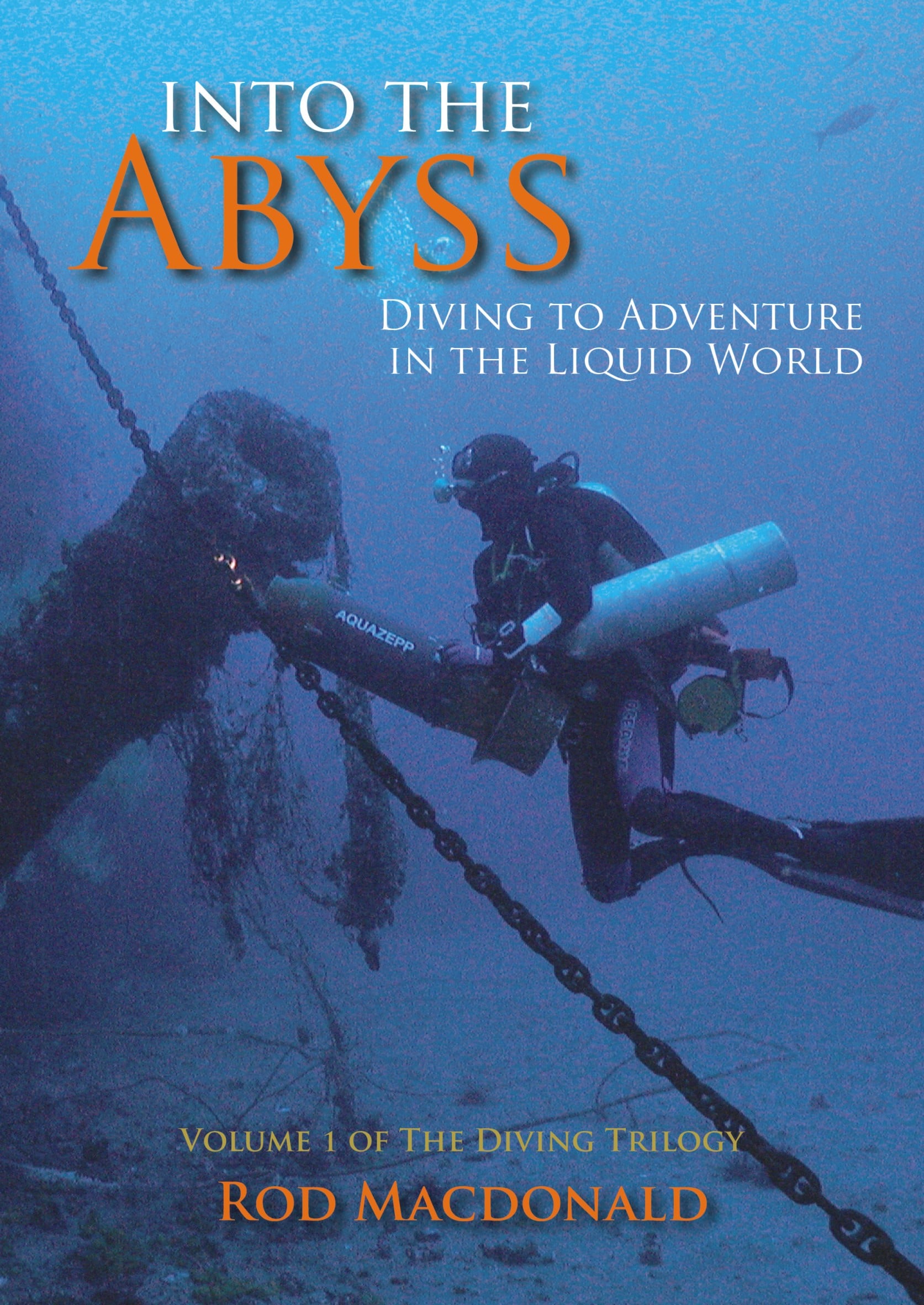 Rod MacDonald's 'Into The Abyss'