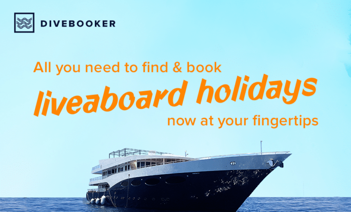 Semua yang Anda perlukan untuk menemukan dan memesan liburan liveaboard ada di ujung jari Anda - Divebooker.com