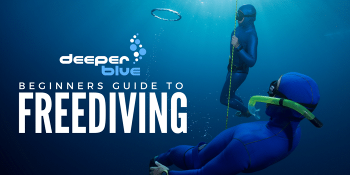 Do I Need To Do A Freediving Course? - DeeperBlue.com